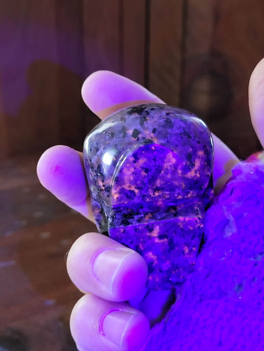 Yooperlite Skull - Picture 14 of 17